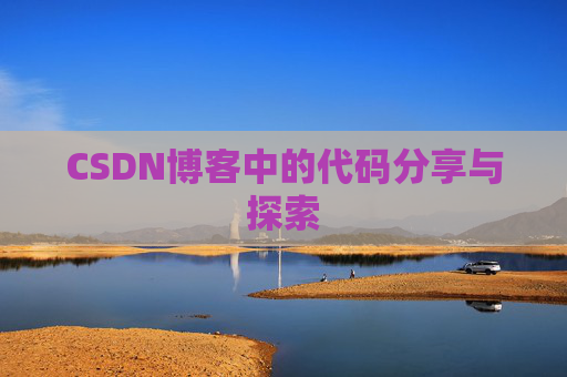 CSDN博客中的代码分享与探索